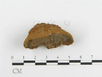 登錄號:F0012739藏品圖，第4張