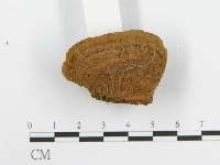 登錄號:F0012739藏品圖，第5張