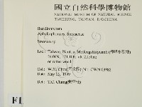 韌革菌屬藏品圖，第2張