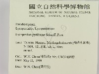登錄號:F0012741藏品圖，第2張