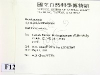 登錄號:F0012745藏品圖，第2張
