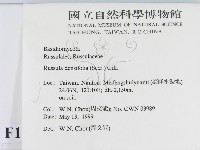 登錄號:F0012747藏品圖，第2張