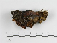 登錄號:F0012747藏品圖，第3張