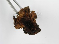 登錄號:F0012747藏品圖，第5張