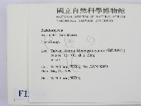 乳菇屬藏品圖，第2張