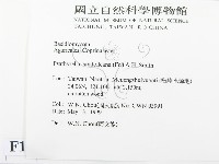 登錄號:F0012749藏品圖，第2張