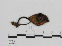 登錄號:F0012750藏品圖，第3張