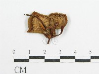 登錄號:F0012751藏品圖，第1張