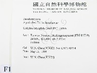 登錄號:F0012752藏品圖，第2張