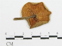 登錄號:F0012753藏品圖，第1張