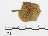 登錄號:F0012753藏品圖，第3張