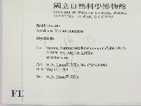 小菇屬藏品圖，第2張