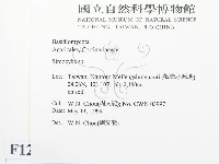 登錄號:F0012755藏品圖，第2張
