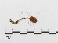 登錄號:F0012755藏品圖，第3張