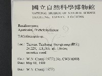 登錄號:F0012756藏品圖，第2張