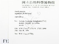 登錄號:F0012757藏品圖，第2張