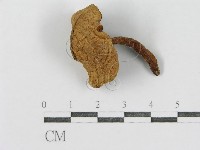 登錄號:F0012758藏品圖，第1張