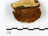 登錄號:F0012759藏品圖，第1張