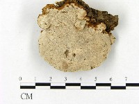 登錄號:F0012759藏品圖，第3張