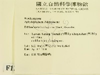 登錄號:F0012760藏品圖，第2張