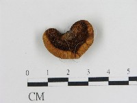 登錄號:F0012760藏品圖，第1張