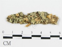 登錄號:F0012762藏品圖，第1張