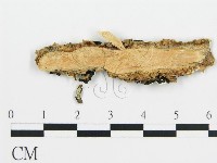 登錄號:F0012762藏品圖，第3張