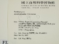 登錄號:F0012764藏品圖，第2張