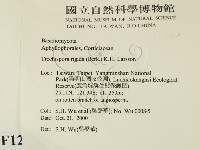 登錄號:F0012765藏品圖，第2張