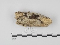 登錄號:F0012765藏品圖，第1張