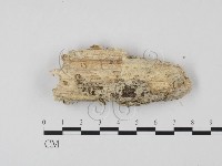 登錄號:F0012765藏品圖，第4張