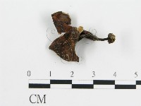 登錄號:F0012766藏品圖，第1張