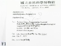 硬孔菌屬藏品圖，第2張