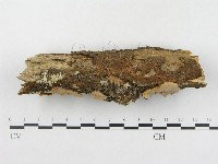 登錄號:F0012768藏品圖，第3張