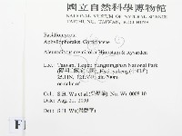 登錄號:F0012769藏品圖，第2張