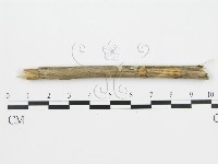 登錄號:F0012769藏品圖，第1張