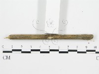 登錄號:F0012769藏品圖，第4張
