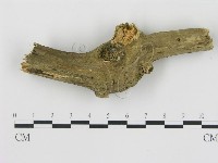 登錄號:F0012770藏品圖，第3張