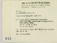 登錄號:F0012771藏品圖，第2張