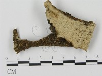 登錄號:F0012771藏品圖，第1張