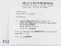 登錄號:F0012773藏品圖，第2張