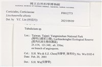 登錄號:F0012773藏品圖，第6張