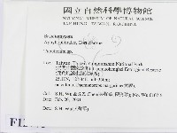 登錄號:F0012775藏品圖，第2張