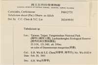 登錄號:F0012775藏品圖，第4張