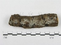 登錄號:F0012776藏品圖，第1張