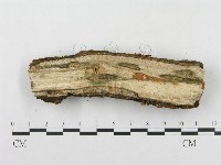 登錄號:F0012776藏品圖，第4張