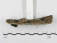 登錄號:F0012776藏品圖，第5張