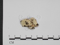 登錄號:F0012777藏品圖，第1張