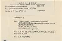 登錄號:F0012777藏品圖，第3張