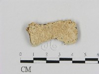 登錄號:F0012778藏品圖，第1張